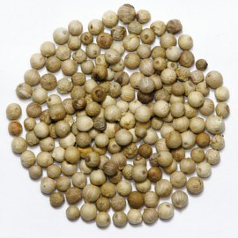 3. 胡椒 3. 胡椒