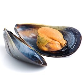 青口及蛤蜊 青口及蛤蜊