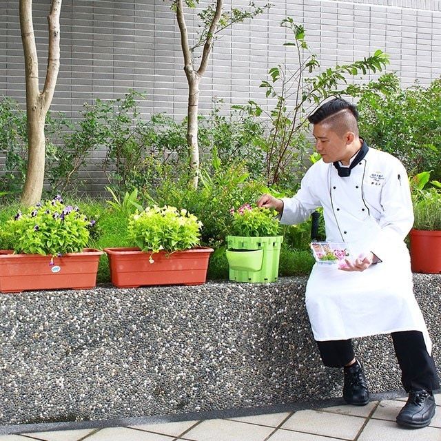 食用花也能用在中菜擺盤？食用花種類、種植、擺盤技巧