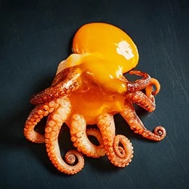 海鮮類 —— 章魚 海鮮類 —— 章魚