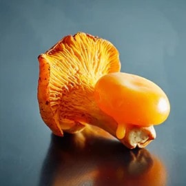 蔬菜類 —— 菇菌、青紅椒 蔬菜類 —— 菇菌、青紅椒