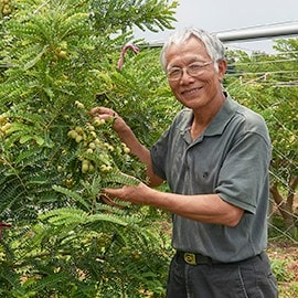油甘種植達人謝瑞文 油甘種植達人謝瑞文