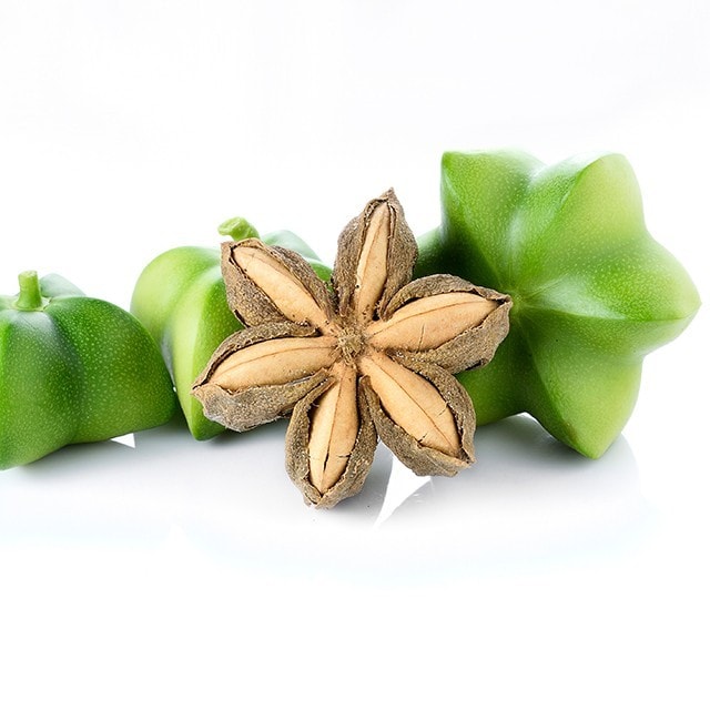 從頭吃到腳的超級新「星」：印加果