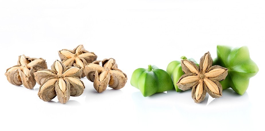 從頭吃到腳的超級新「星」：印加果