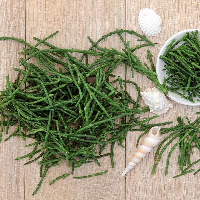 海洋蔬菜新貴族　海蘆筍