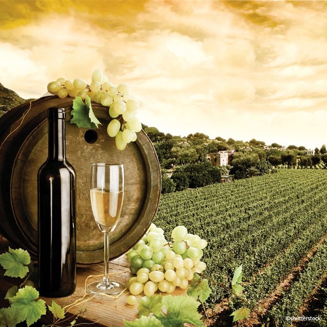 白餐酒與中菜對對碰