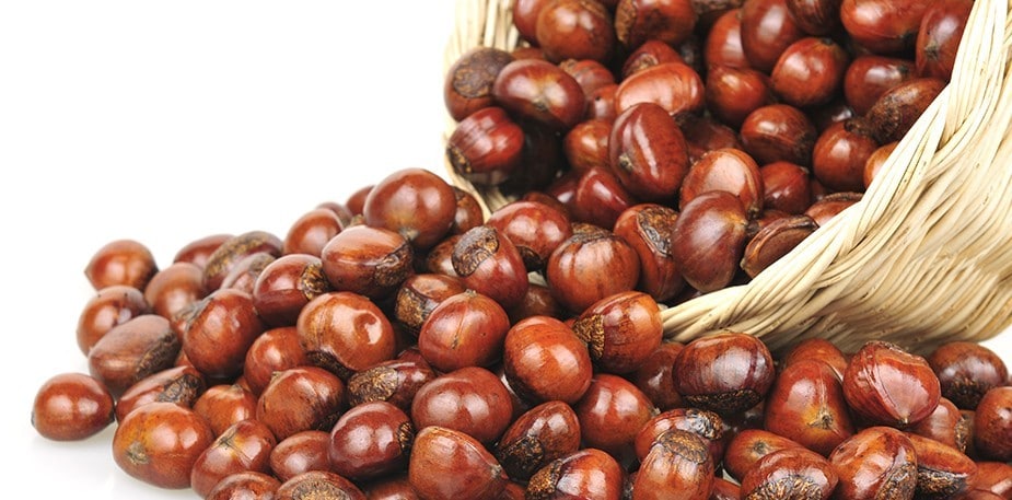 如何煮栗子？彙整煮栗子處理方法，教你製作栗子料理