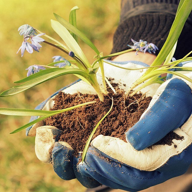 三大食物議題  扭轉你對永續食物的認知