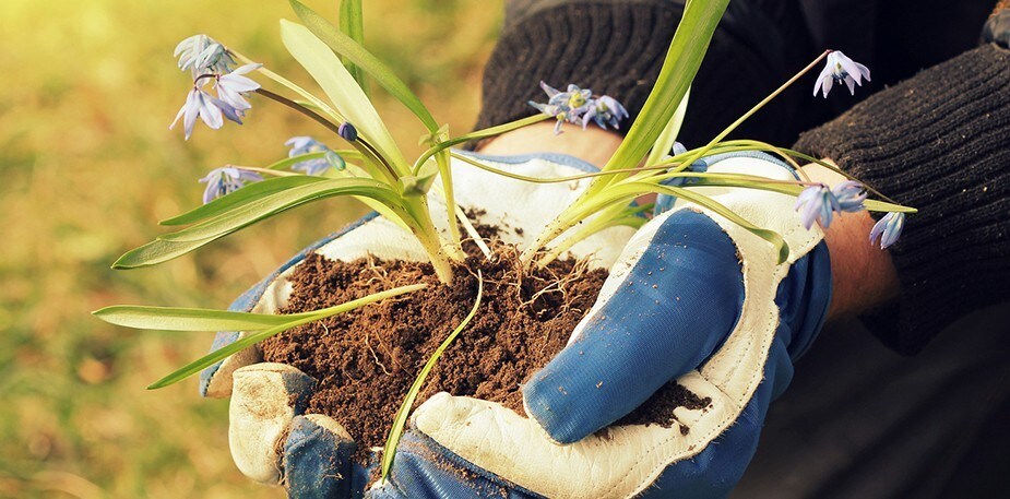 三大食物議題  扭轉你對永續食物的認知