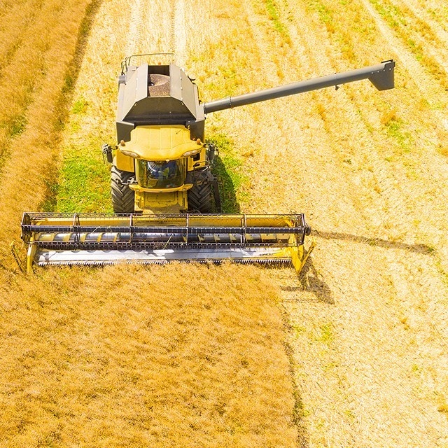 全球熱議「永續食材」 你了解嗎？