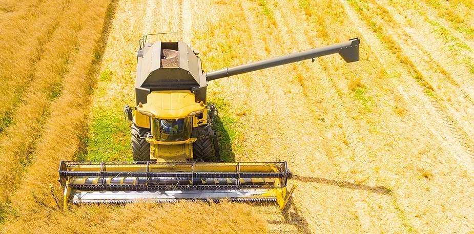 全球熱議「永續食材」 你了解嗎？